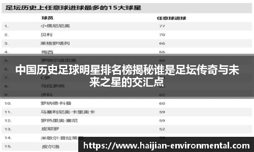 中国历史足球明星排名榜揭秘谁是足坛传奇与未来之星的交汇点