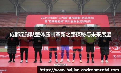 成都足球队整体压制革新之路探秘与未来展望